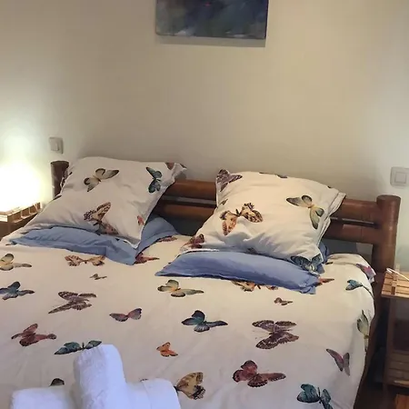 Maison Ecologique Avec Piscine Privee, Jusqu'a 6 Personnes - Fr-1-824-25 Feriehus Le Buisson-de-Cadouin