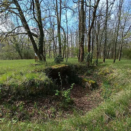 Feriehus Maison Ecologique Avec Piscine Privee, Jusqu'a 6 Personnes - Fr-1-824-25